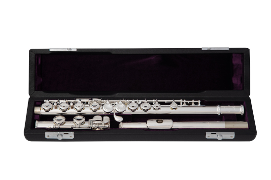 5x flute in case